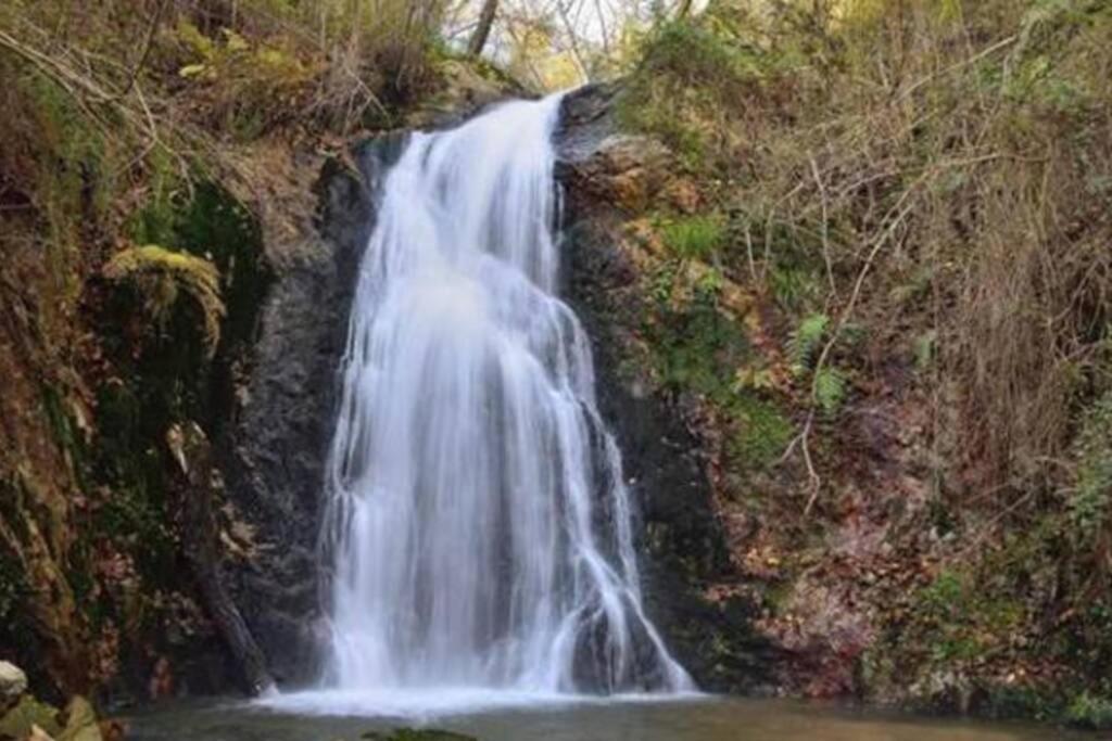 Casa Ferreira, Senda Del Oso Сasa de vacaciones